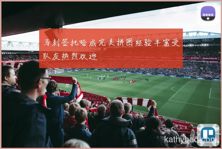 拜仁焦点战握手言和 榜首争夺进入白热化