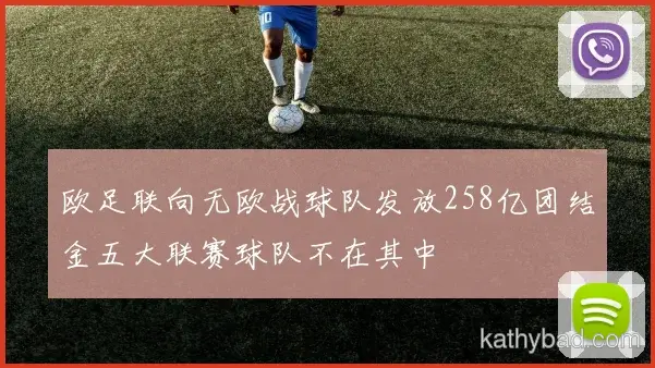 山东泰山主场球迷创上座率纪录 球队用胜利回馈支持
